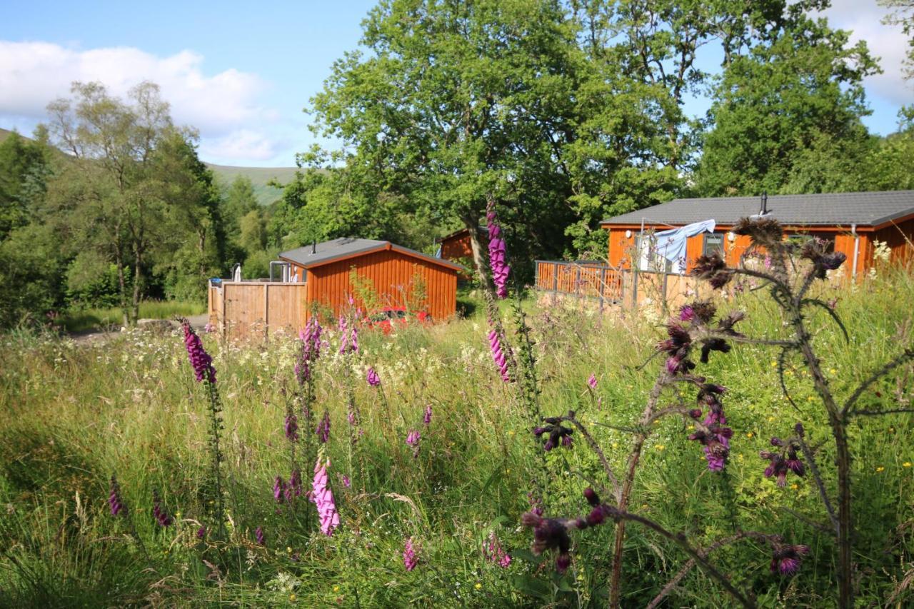 Balquhidder Braes Holiday Park Lodges, Mostly With Hot Tubs And Pet Friendly, Ev Facilities Lochearnhead Exterior photo
