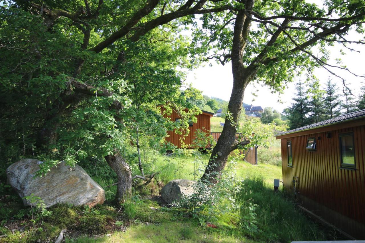 Balquhidder Braes Holiday Park Lodges, Mostly With Hot Tubs And Pet Friendly, Ev Facilities Lochearnhead Exterior photo