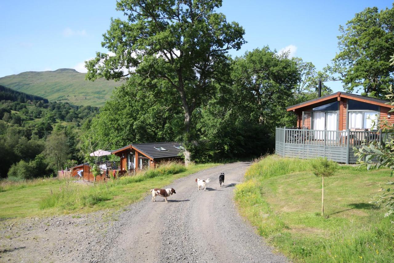 Balquhidder Braes Holiday Park Lodges, Mostly With Hot Tubs And Pet Friendly, Ev Facilities Lochearnhead Exterior photo