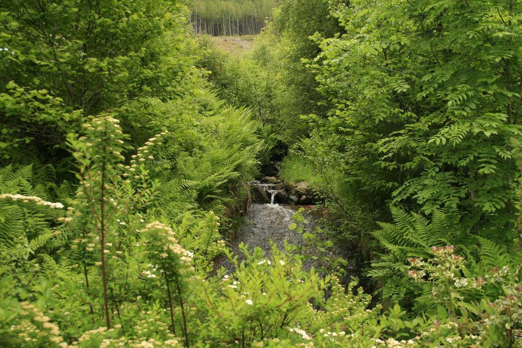 Balquhidder Braes Holiday Park Lodges, Mostly With Hot Tubs And Pet Friendly, Ev Facilities Lochearnhead Exterior photo