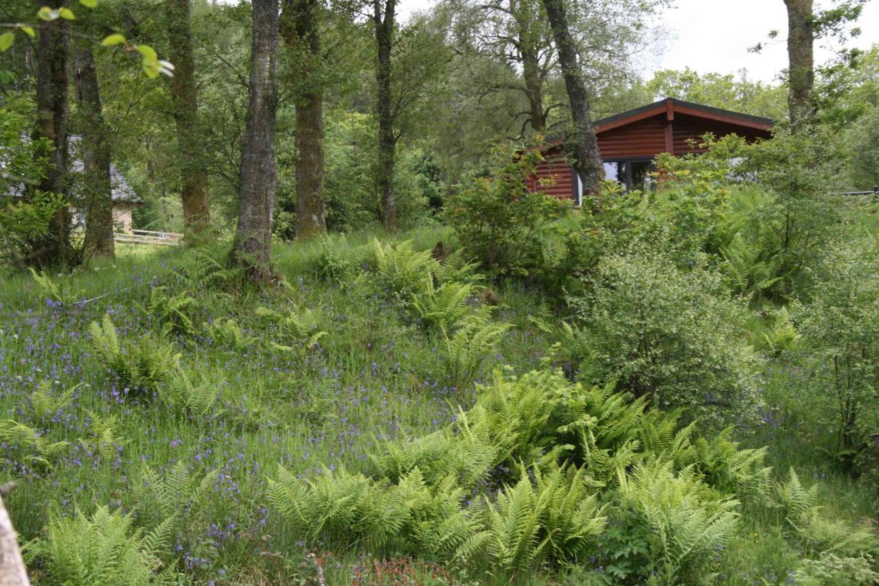 Balquhidder Braes Holiday Park Lodges, Mostly With Hot Tubs And Pet Friendly, Ev Facilities Lochearnhead Exterior photo